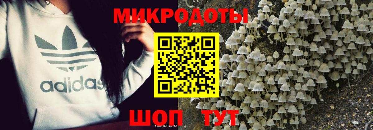 где купить   Вход с VPN  Белово  Псилоцибиновые грибы GOLDEN TEACHER 